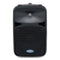 Samson Auro D210 10" 200 Watt  2-Way Active PA Loudspeaker Monitor