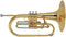 Stagg Marching Mellophone with Case - Key of F - WS-MB225
