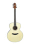 Crafter Silver 100 Jumbo Acoustic Guitar - Spruce - HJ100-N