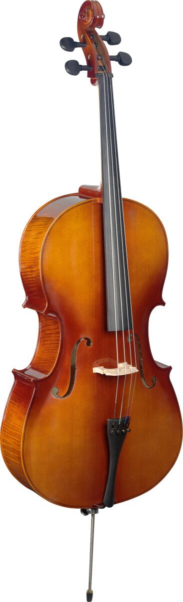 Stagg 4/4 Laminated Maple Cello with Bag - VNC-4/4 L