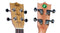 Flight Englemann Spruce & Zebrawood Concert Ukulele – DUC325 SP/ZEB