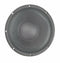 Eminence Professional Series Kappa Pro 10A 10" PA Speaker 8 Ohms 500 Watts