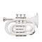 Stagg Bb Pocket Trumpet with Brass Body - White - WS-TR249S