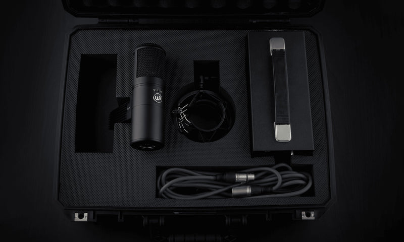 Warm Audio Large Diaphragm Tube Condenser Microphone w/ Case - WA-8000