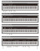 NUX NPK-10 Portable 88 Key Digital Piano w/ Touch Sensitive Hammer-Action Keys