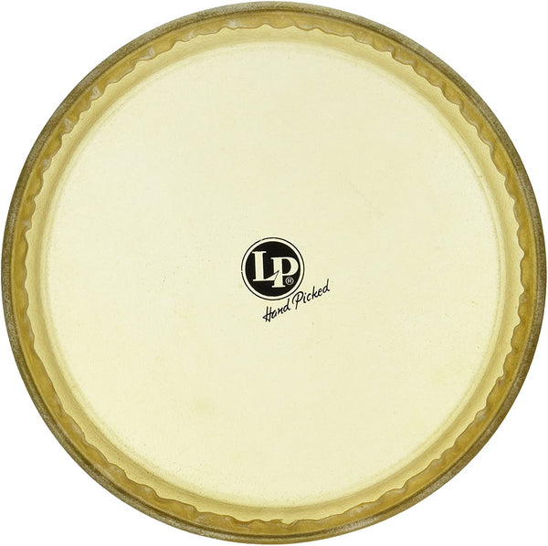 Latin Percussion 11” Evans Synthetic Head Quinto X Series - LP265AE