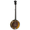 Luna Banjo Celtic 5-String - Laser Etched Design - 22 Frets - BGB CEL 5